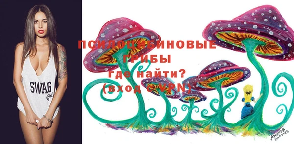 бутират Кукмор