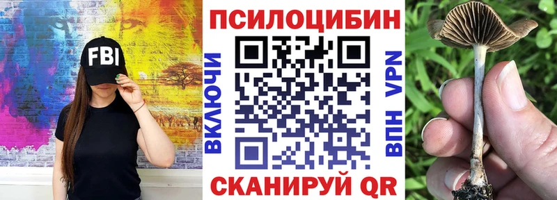 Галлюциногенные грибы MAGIC MUSHROOMS  Купить закладки  Верхняя Тура 